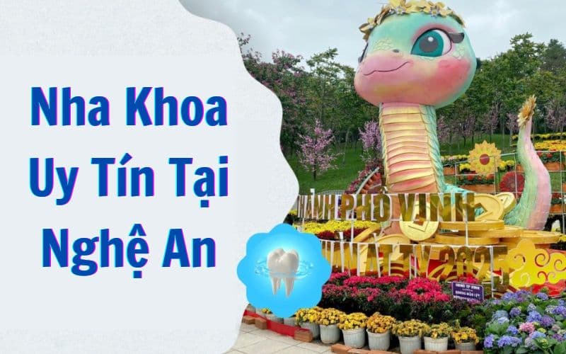 Nha khoa ở Nghệ An với đa dạng dịch vụ chất lượng cao, mang đến trải nghiệm toàn diện cho khách hàng